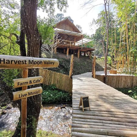 Harvest Moon Valley Ban Pang Luang ภายนอก รูปภาพ