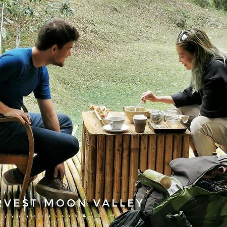 Harvest Moon Valley Ban Pang Luang ภายนอก รูปภาพ