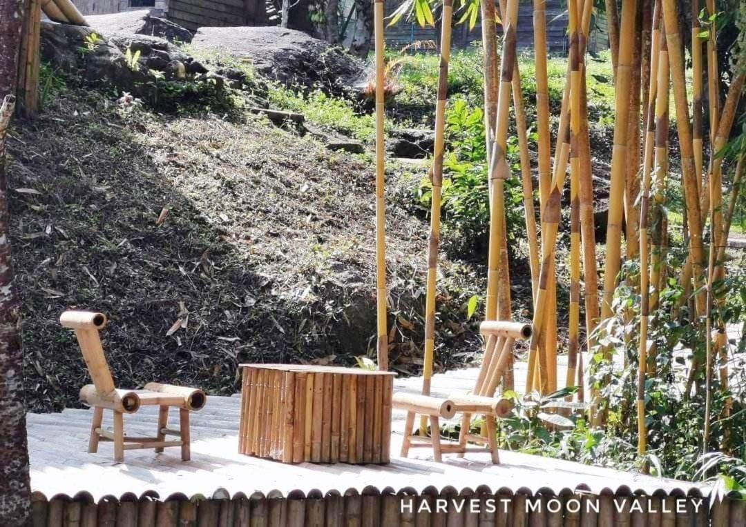 Harvest Moon Valley Ban Pang Luang ภายนอก รูปภาพ