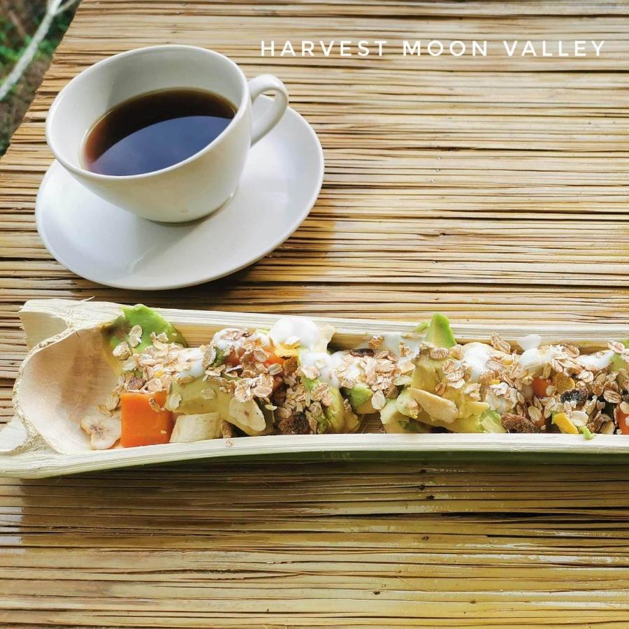 Harvest Moon Valley Ban Pang Luang ภายนอก รูปภาพ